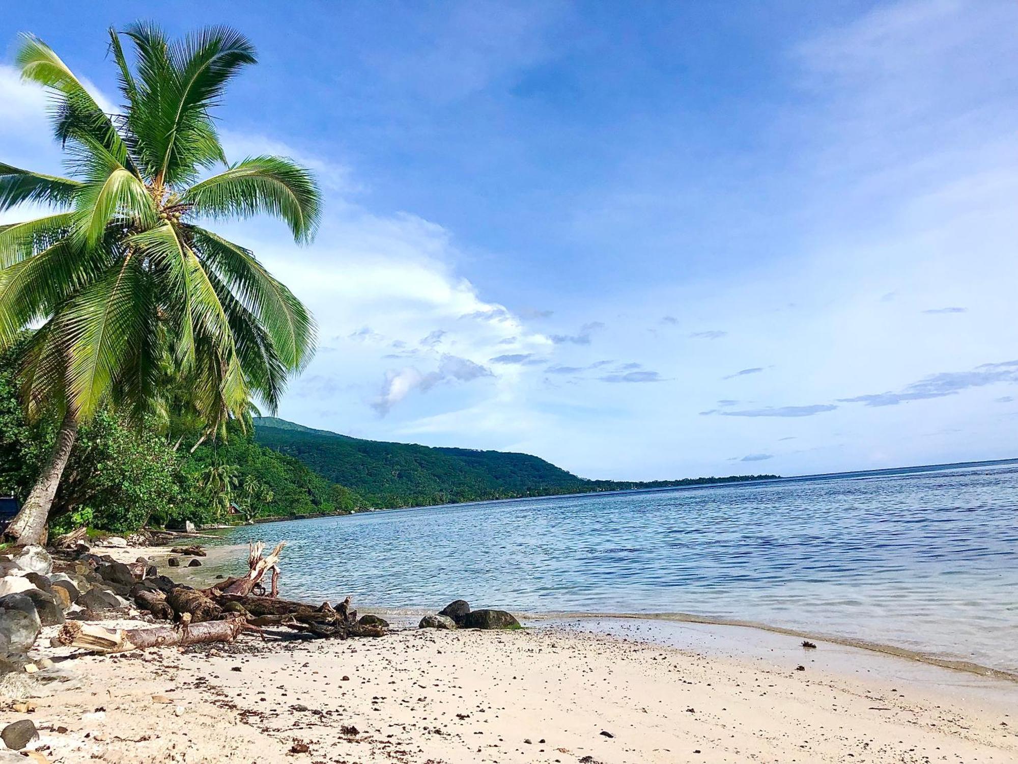 Maui Homestay Vue Ocean Exceptionnelle & Baleines En Saison Tohautu Luaran gambar